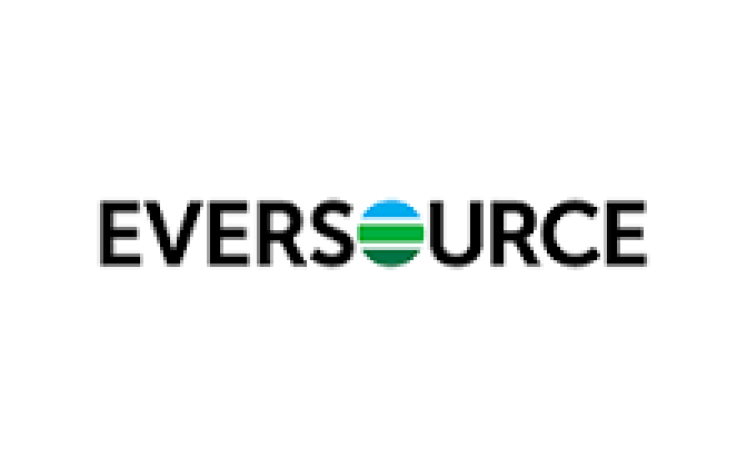 Eversouce Logo